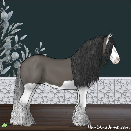 Horse Color:Grullo Splash 