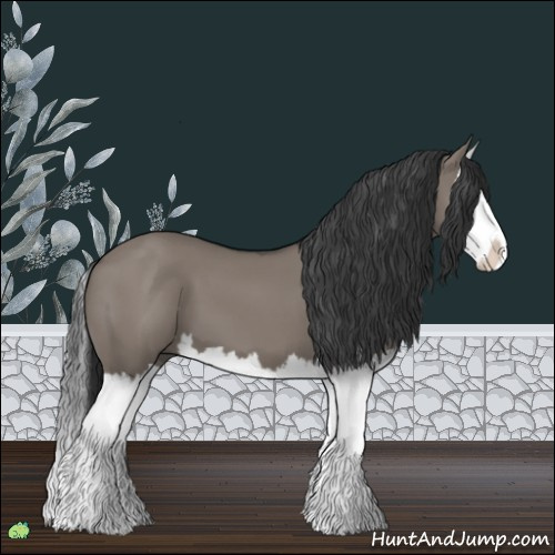 Horse Color:Grullo Sabino Splash 