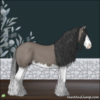 Horse Color:Grullo Sabino Splash 