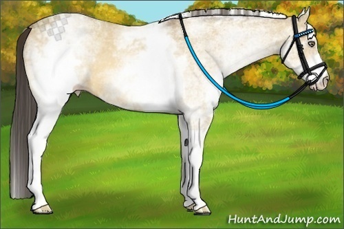 Horse Color:White Spotted Amber Cream Champagne Dun
