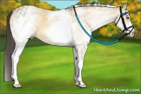 Horse Color:White Spotted Amber Cream Champagne Dun