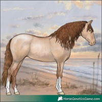 Horse Color:Bay Pearl Dun 