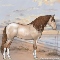 Horse Color:Liver Red Dun Pearl 