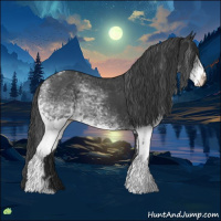 Horse Color:White Spotted Black Tobiano 