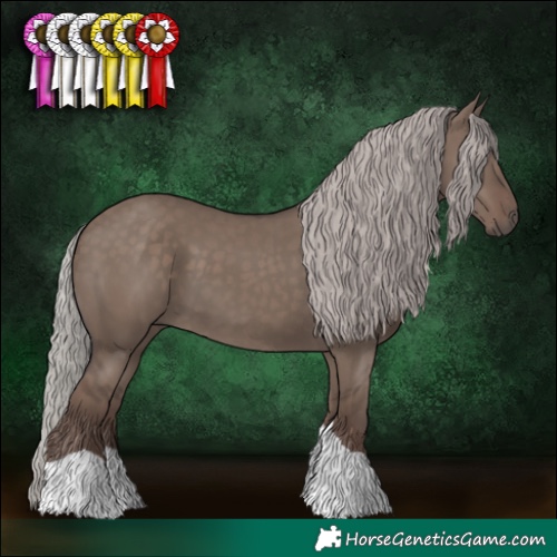 Horse Color:Silver Grullo Tobiano