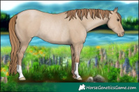 Horse Color:Grullo Pearl Rabicano