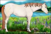 Horse Color:Sable Cream Champagne Pearl Rabicano 