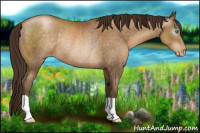 Horse Color:Gray Smoky Black Pearl Rabicano