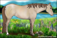 Horse Color:Grullo Pearl 