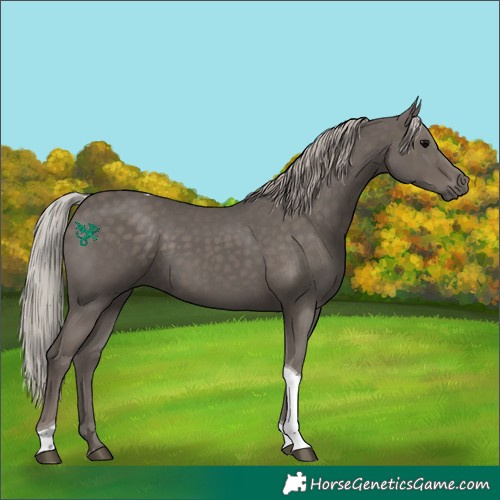 Horse Color:Silver Black Tobiano