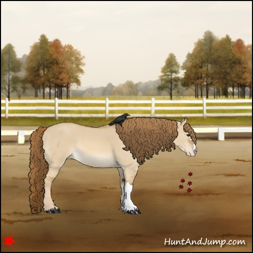 Horse Color:Red Dun Varnish