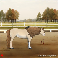 Horse Color:Red Dun Varnish 