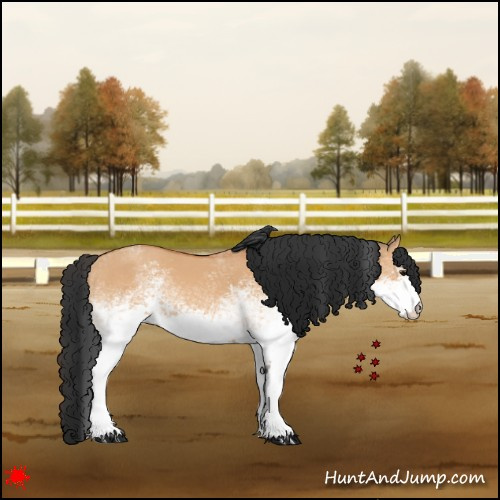 Horse Color:White Spotted Bay Dun 
