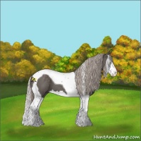 Horse Color:Silver Black Splash Tobiano 