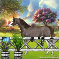 Horse Color:Liver Red Roan Sabino Splash 