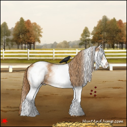 Horse Color:White Spotted Chestnut