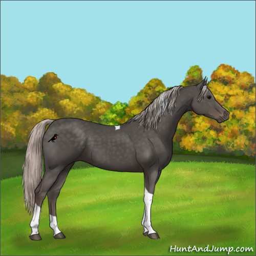 Horse Color:Silver Black Tobiano