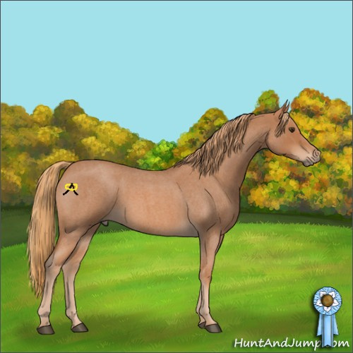 Horse Color:Red Roan 