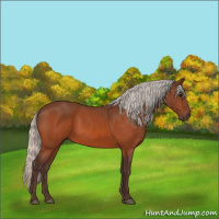 Horse Color:Silver Bay 