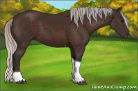 Horse Color:Silver Brown Tobiano 