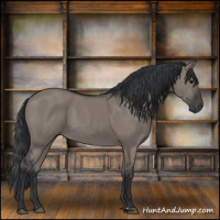 Horse Color:Grullo Sabino Rabicano 