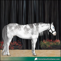 Horse Color:Platinum White Spotted Buckskin Dun Sabino Splash 