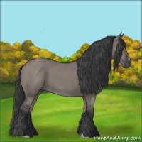 Horse Color:Grullo Sabino Rabicano 