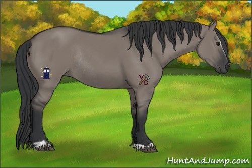 Horse Color:Grullo Sabino Rabicano 