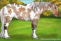 Horse Color:White Spotted Silver Brown Dun 