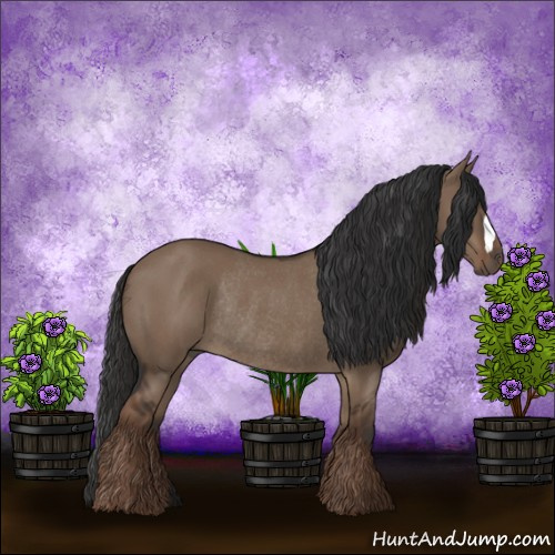 Horse Color:Liver Red Dun Rabicano