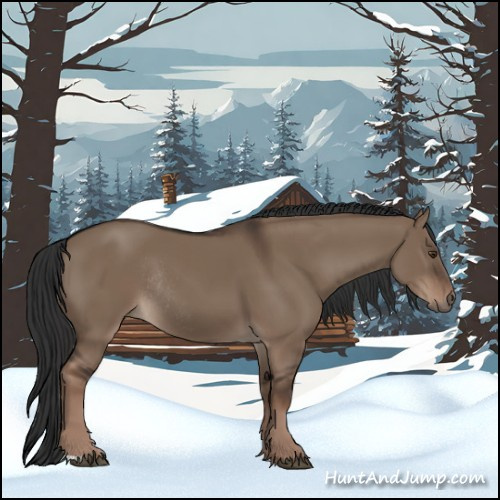 Horse Color:Liver Red Dun Rabicano 