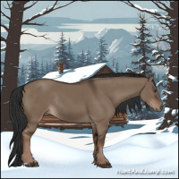 Horse Color:Liver Red Dun Rabicano 
