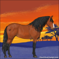 Horse Color:Brown 