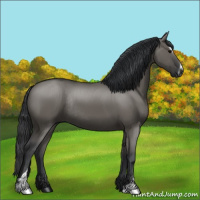 Horse Color:Grullo Sabino Rabicano 