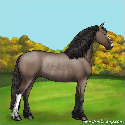 Horse Color:Liver Red Dun Rabicano