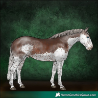 Horse Color:Silver Brown Splash Tobiano 