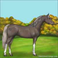 Horse Color:Silver Black 