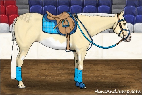 Horse Color:Silver Amber Cream Champagne Dun Splash Frame Rabicano