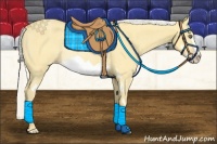 Horse Color:Silver Amber Cream Champagne Dun Splash Frame Rabicano