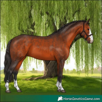 Horse Color:Brown 
