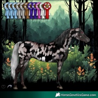 Horse Color:Void Chocolate Silver Brown Chinchilla Dun Tobiano Appaloosa Brindle 