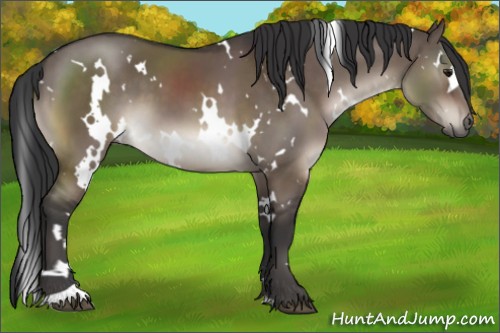 Horse Color:White Spotted Brown Dun 