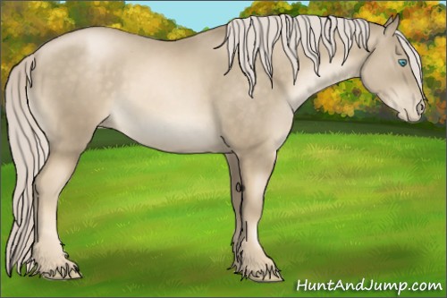 Horse Color:Chocolate Palomino Pearl Mushroom Sabino