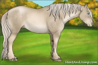 Horse Color:Chocolate Palomino Pearl Mushroom Sabino 