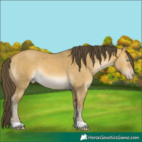 Horse Color:Sable Cream Champagne Dun Mushroom Rabicano 