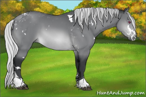 Horse Color:White Spotted Silver Brown Chinchilla Tobiano 