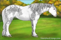 Horse Color:Silver Brown Chinchilla Ice Splash Tobiano 