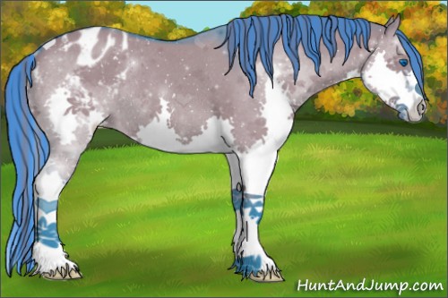 Horse Color:ERROR: UNKNOWN ANOMALY
