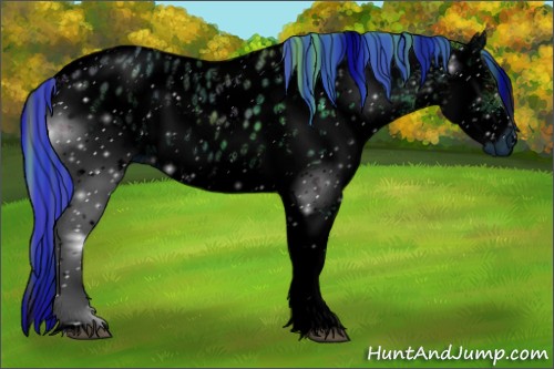 Horse Color:ERROR: UNKNOWN ANOMALY