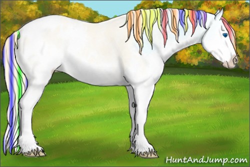 Horse Color:Painted White Spotted Smoky Creme Onyx Sabino Splash Appaloosa 